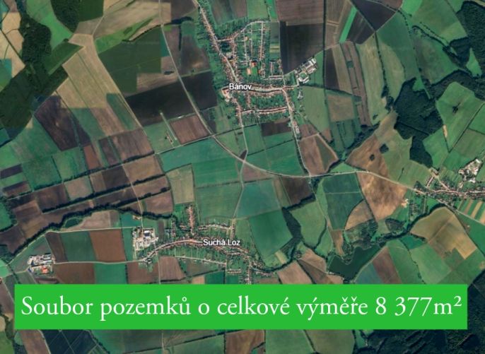 Prodej, Pole, Suchá Loz