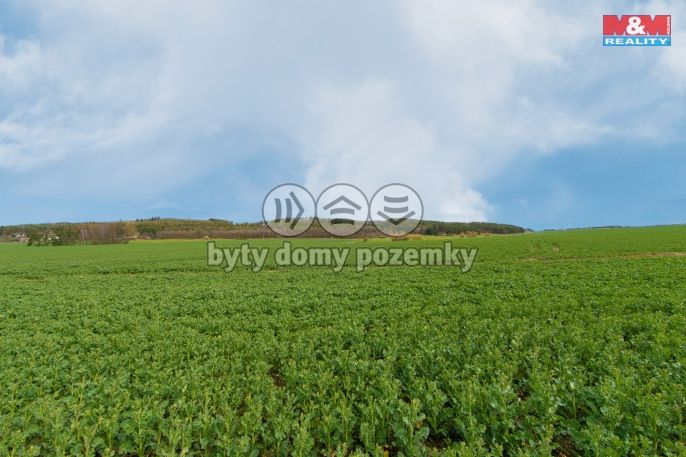 Prodej, Pole, Čižice