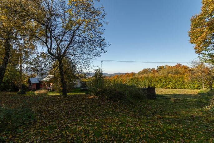 Prodej, Rodinný dům, Malenovice