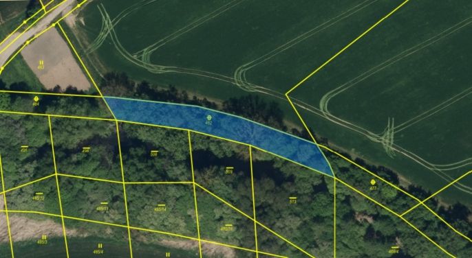 Prodej, Ostatní, Živanice