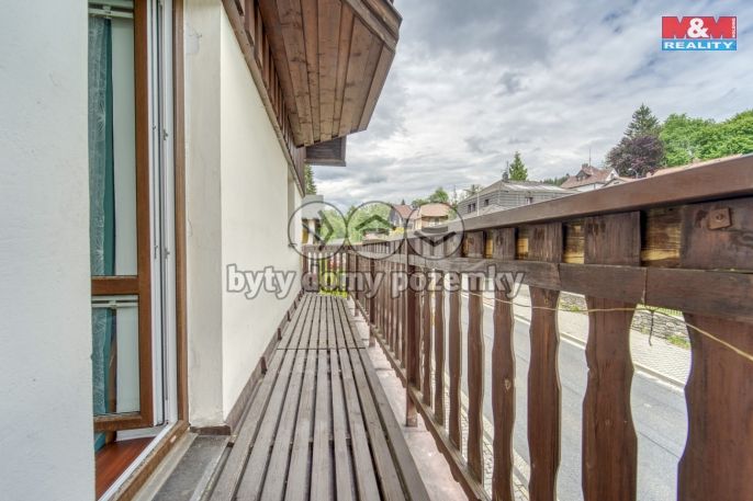 Prodej, Hotel, penzion, Železná Ruda