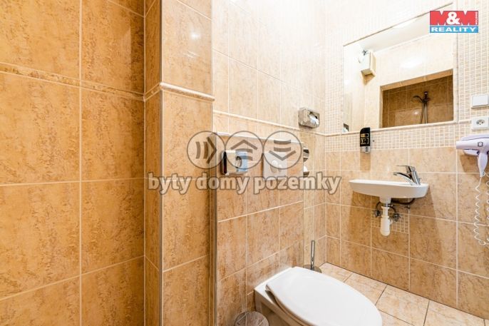 Pronájem, Byt 2+kk, Plzeň