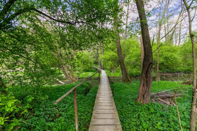 Prodej, Chata, Česká Bříza