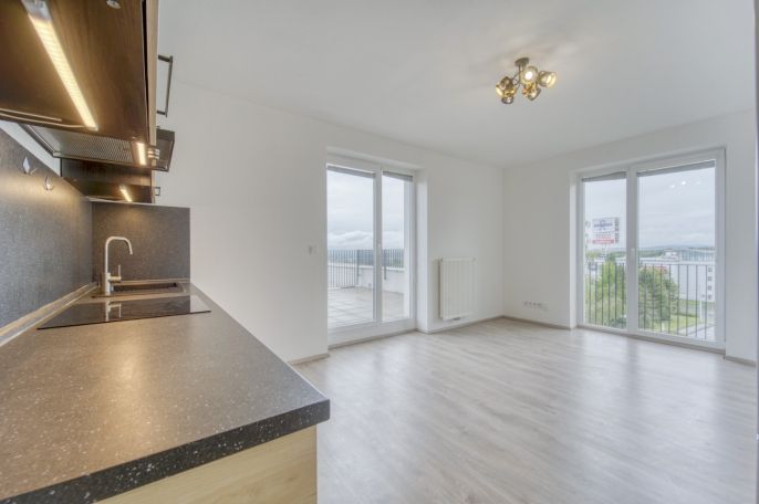 Pronájem, Byt 3+kk, Plzeň