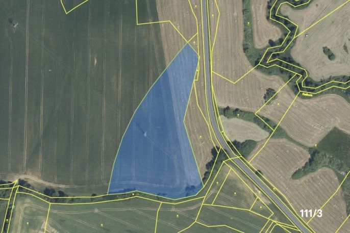 Prodej, Pole, Hostouň