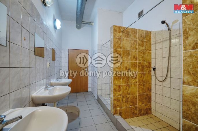 Prodej, Hotel, penzion, Rokycany