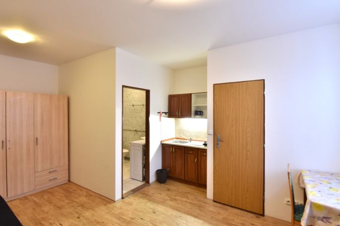 Pronájem, Byt 1+kk, Brandýs nad Labem-Stará Boleslav