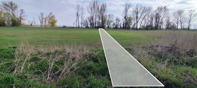 Prodej, Ostatní, Hořín