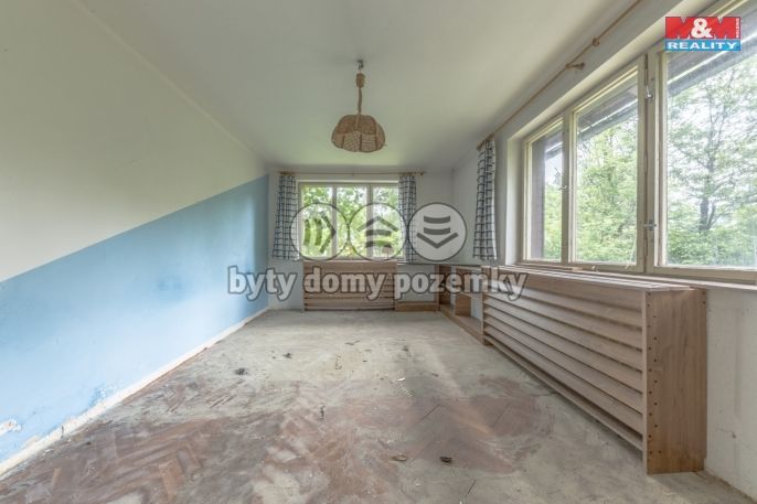 Prodej, Hotel, penzion, Plavy