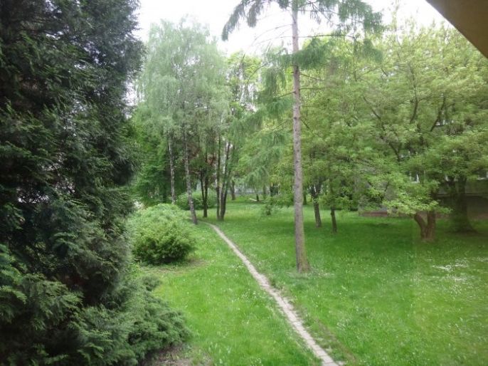 Pronájem, Byt 3+1, Ostrava