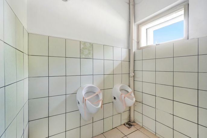 Prodej, Hotel, penzion, Deštné v Orlických horách