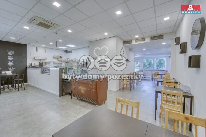 Pronájem, Obchodní objekt, Třemošná