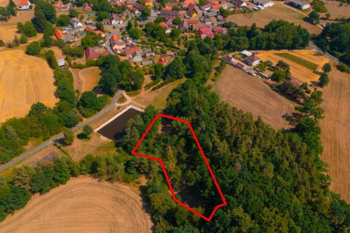 Prodej, Zahrada, Velký Bor