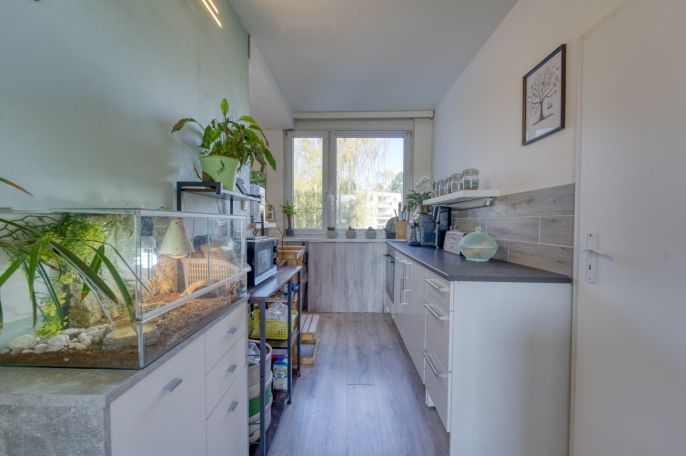 Prodej, Byt 4+1, Plzeň