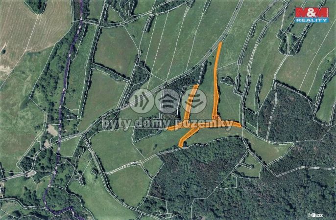 Prodej, Les, Žandov