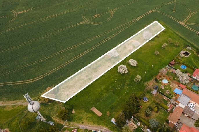 Prodej, Zahrada, Kořenice