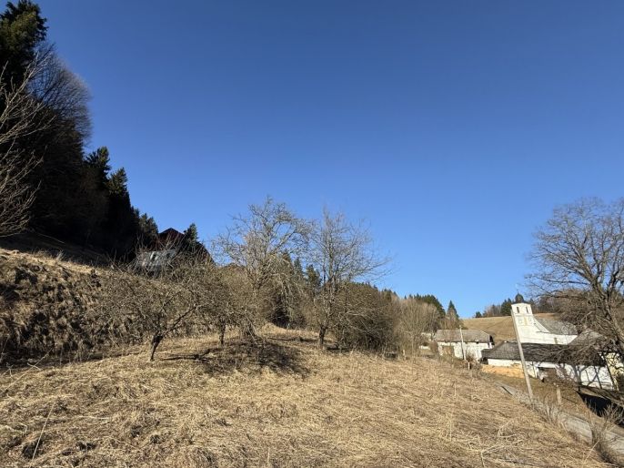 Prodej, Pozemek k bydlení, Hanušovice