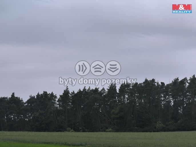 Prodej, Les, Střelské Hoštice