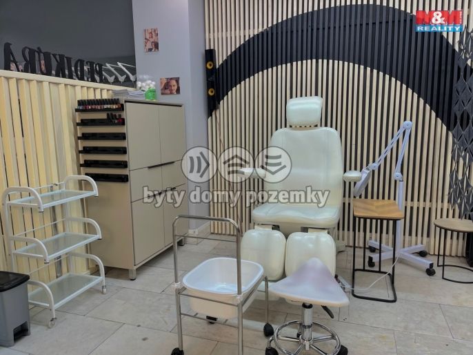 Pronájem, Obchod a služby, Most