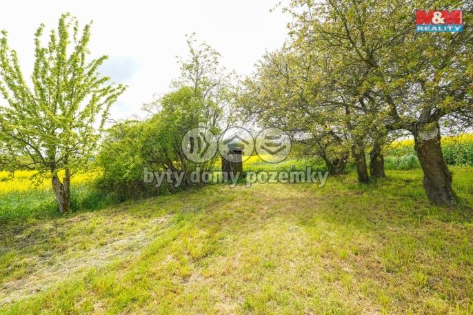 Prodej, Pole, Ostrov u Bezdružic