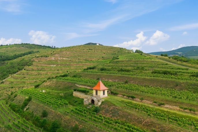 Prodej, Restaurace, stravování, Velké Žernoseky
