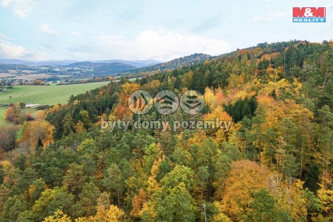 Prodej, Chata, Čím