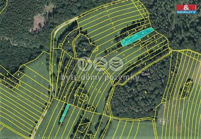 Prodej, Les, Vysoká