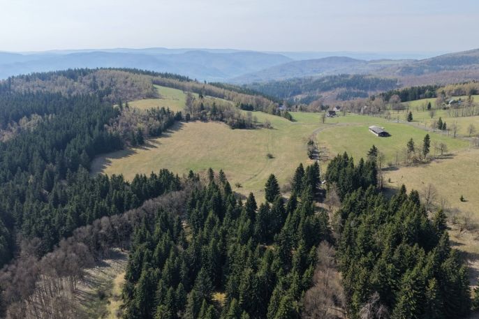 Prodej, Les, Měděnec