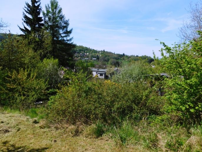 Pronájem, Zahrada, Turnov