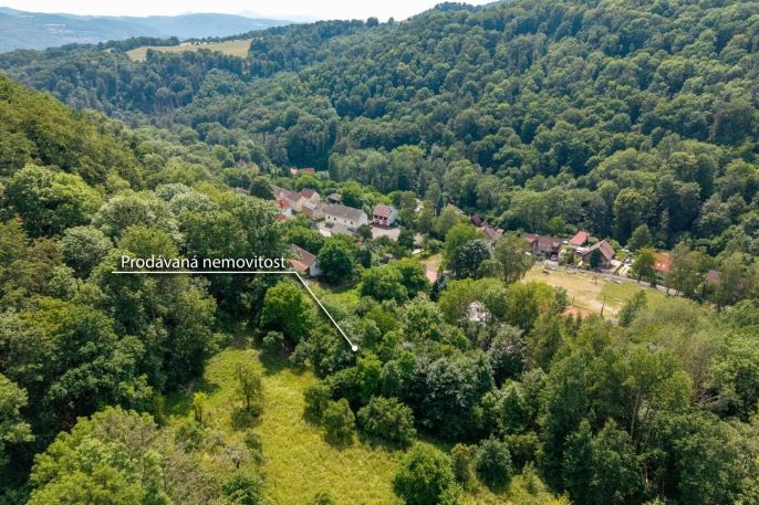 Prodej, Zahrada, Ryjice