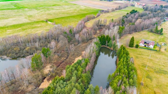 Prodej, Vodní plocha, Dvory nad Lužnicí