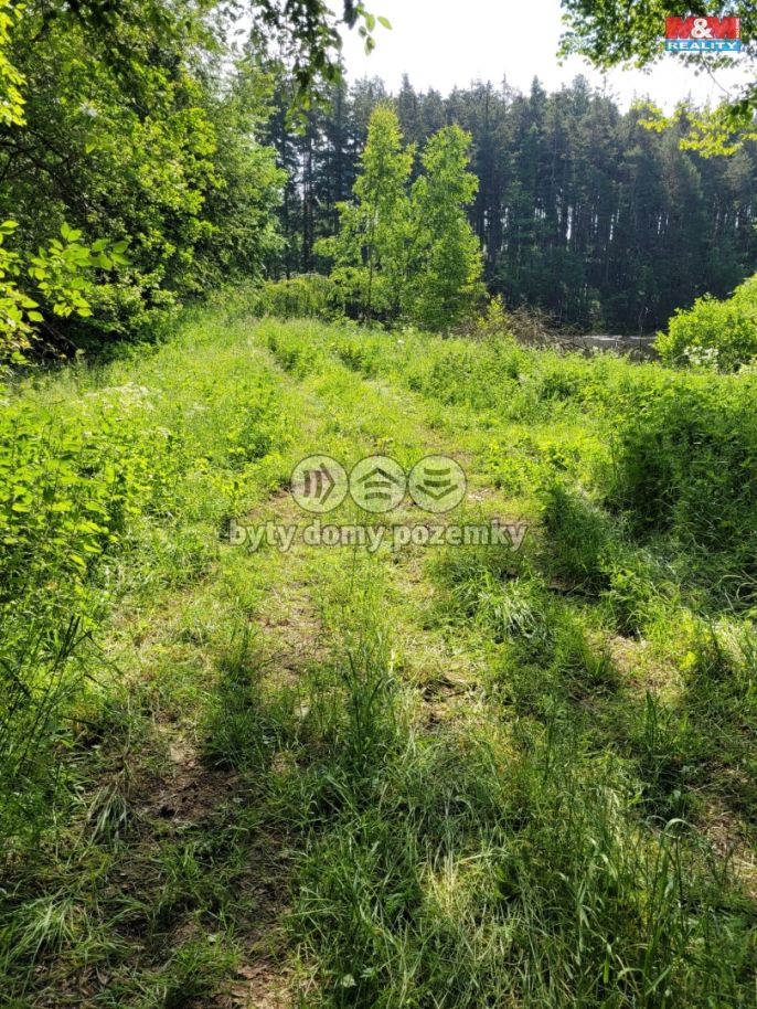 Prodej, Vodní plocha, Toužim