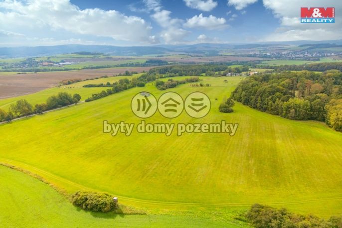 Prodej, Louka, Spálené Poříčí