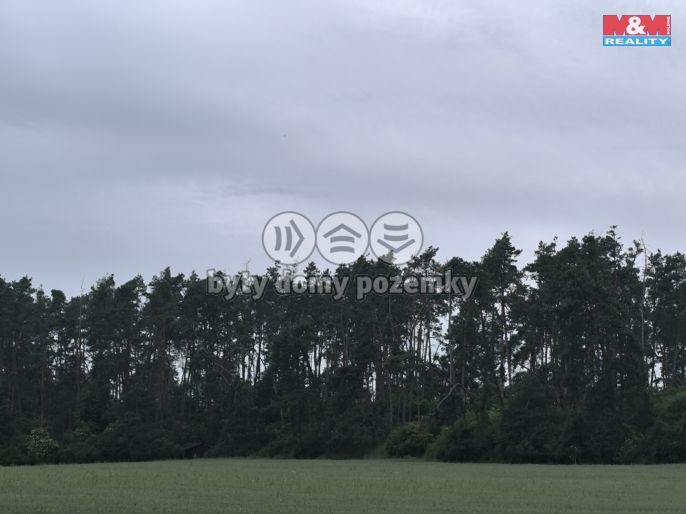 Prodej, Les, Střelské Hoštice