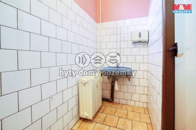 Prodej, Hotel, penzion, Dolní Žandov