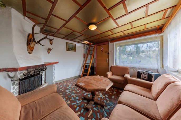 Prodej, Chata, Těšovice