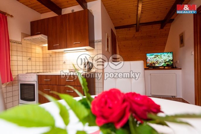 Prodej, Hotel, penzion, Česká Skalice