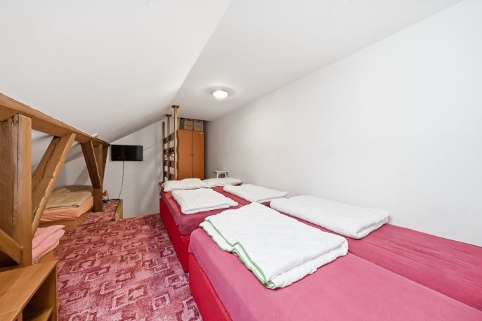 Prodej, Hotel, penzion, Čenkovice