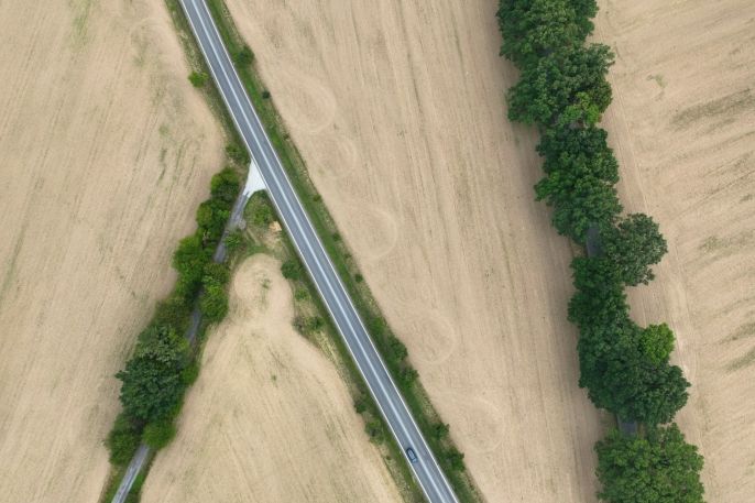 Prodej, Pole, Vyskytná