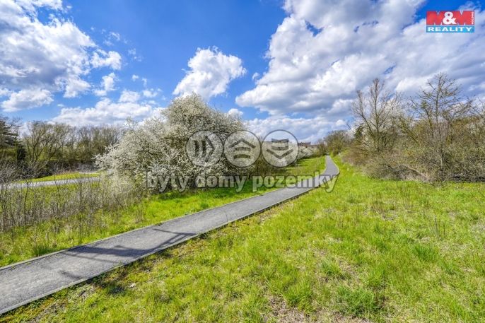 Prodej, Zahrada, Čistá