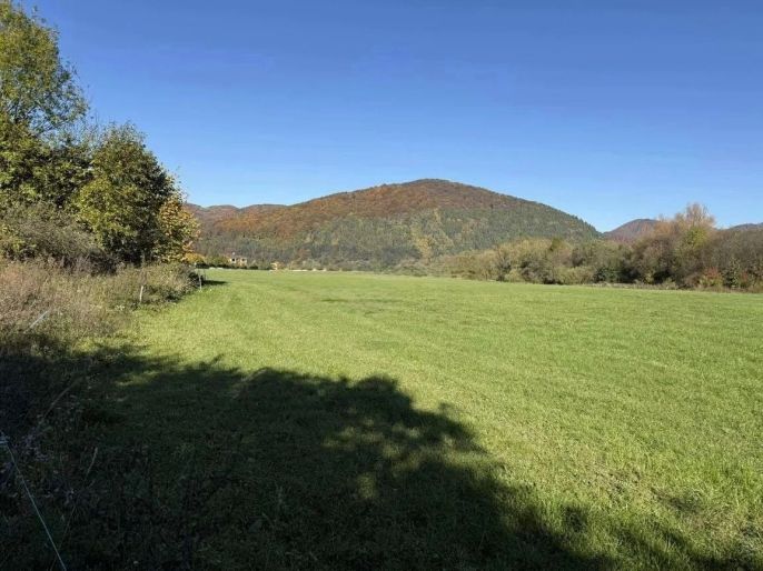 Prodej, Pastvina, Krasňany