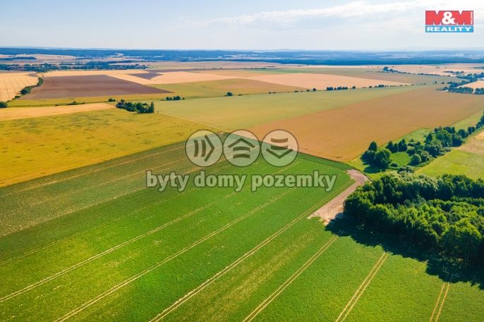 Prodej, Louka, 31349 m², Kotovice