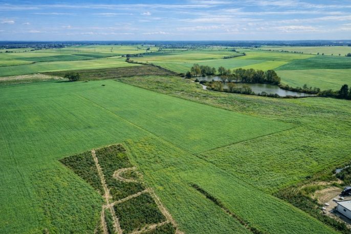Prodej, Pozemek k bydlení, Bělušice