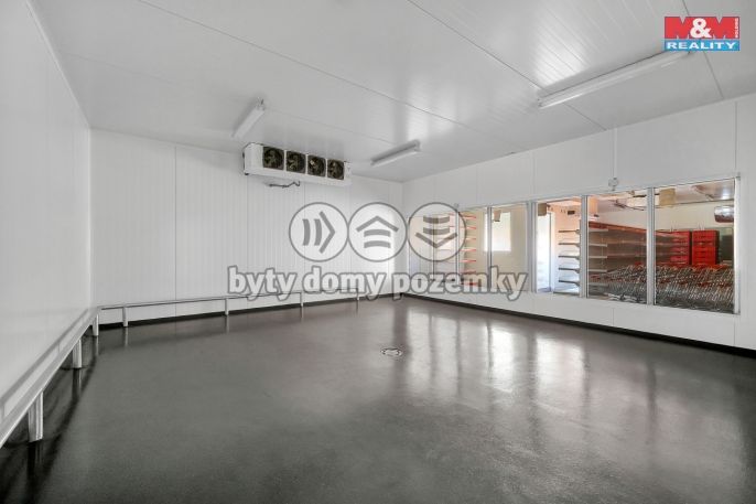 Pronájem, Obchod a služby, Červený Kostelec