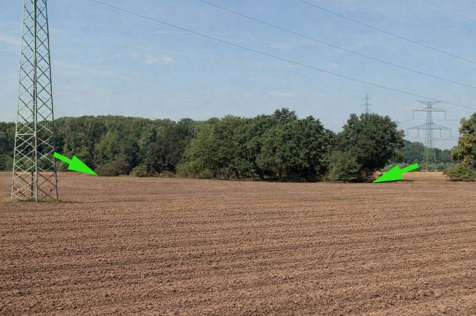 Prodej, Pole, Všestudy