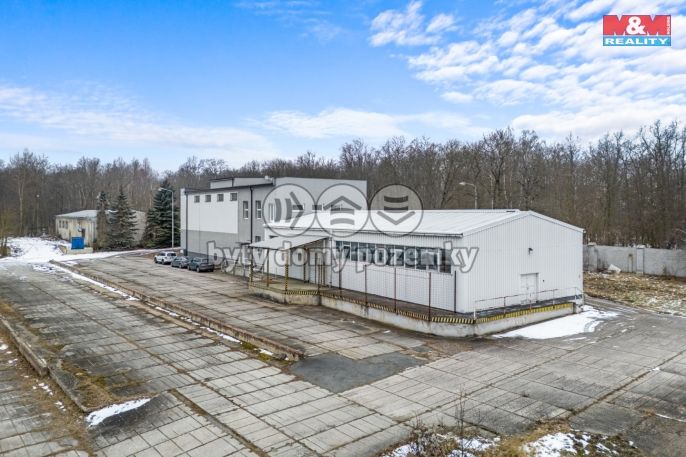 Pronájem, Výrobní objekt, Libušín