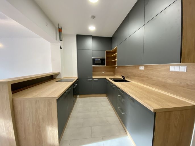 Pronájem, Byt 1+kk, Louny