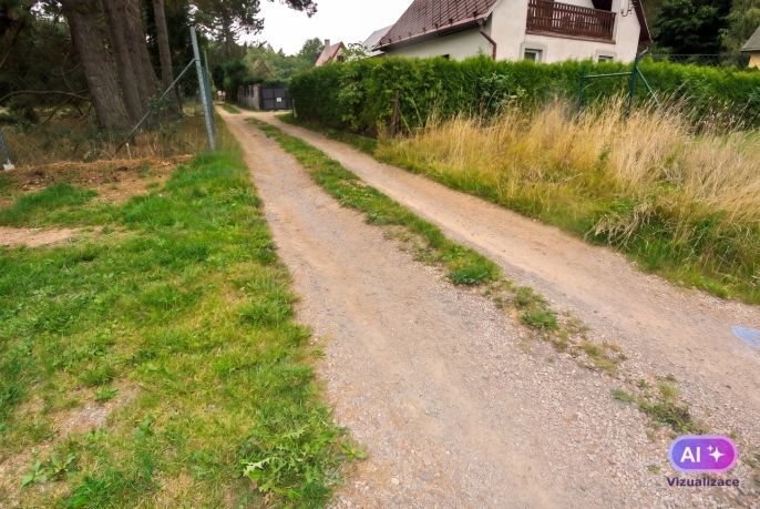 Prodej, Chata, Družec