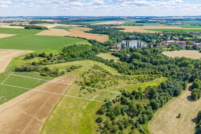 Prodej, Pole, Žabonosy