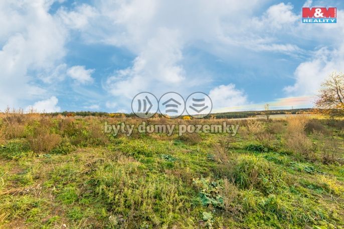 Prodej, Louka, Vysoká Libyně